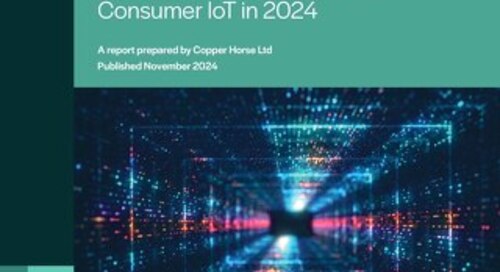 The State of Vulnerability Disclosure Usage in Global Consumer IoT in 2024