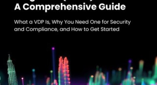 Vulnerability Disclosure Programs (VDPs): A Comprehensive Guide