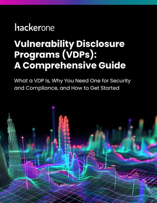 Vulnerability Disclosure Programs (VDPs): A Comprehensive Guide