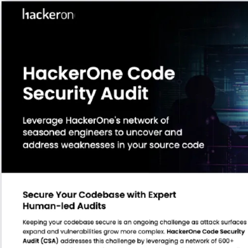 Get the Code Security Audit Solution Brief